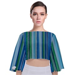 Painted Stripe Tie Back Butterfly Sleeve Chiffon Top