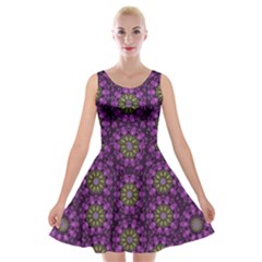 Ornate Heavy Metal Stars In Decorative Bloom Velvet Skater Dress by pepitasart