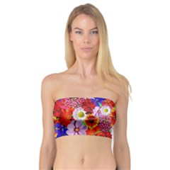 Multicolored Daisies Bandeau Top by retrotoomoderndesigns