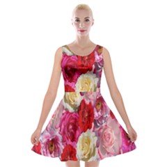 Bed Of Roses Velvet Skater Dress by retrotoomoderndesigns