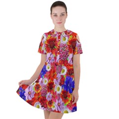 Multicolored Daisies Short Sleeve Shoulder Cut Out Dress 