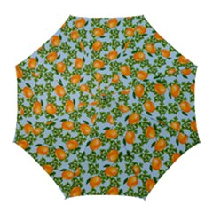 Citrus Tropical Orange Blue Golf Umbrellas by snowwhitegirl