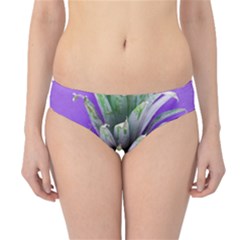 Pineapple Purple Hipster Bikini Bottoms by snowwhitegirl