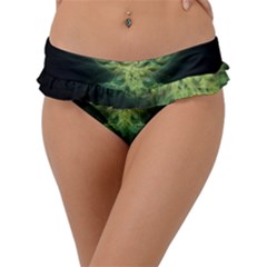 Fractal Jwildfire Scifi Frill Bikini Bottom