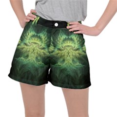 Fractal Jwildfire Scifi Stretch Ripstop Shorts by Pakrebo