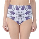 Fractal Floral Pattern Decorative Classic High-Waist Bikini Bottoms View1