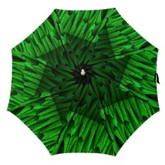 Fractal Rendering Background Green Straight Umbrellas by Pakrebo