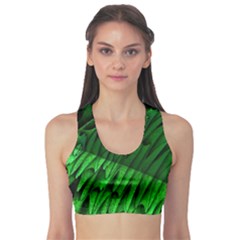 Fractal Rendering Background Green Sports Bra by Pakrebo