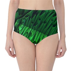 Fractal Rendering Background Green Classic High-waist Bikini Bottoms by Pakrebo