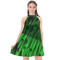 Fractal Rendering Background Green Halter Neckline Chiffon Dress  by Pakrebo