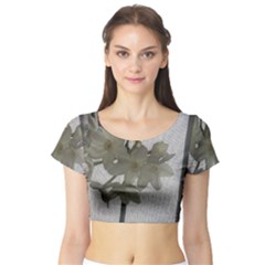 Paperwhite Short Sleeve Crop Top by Riverwoman