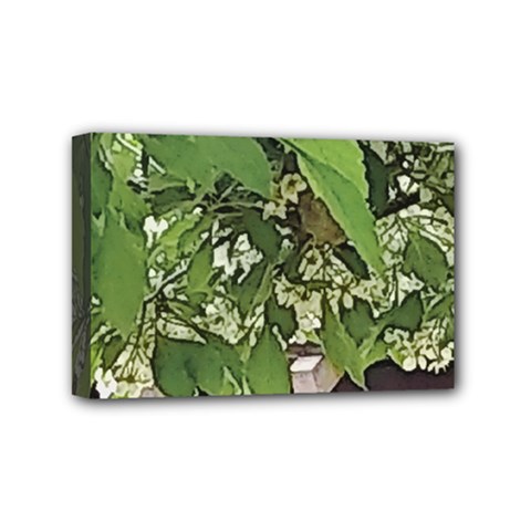 Garden Of The Phoenix  Mini Canvas 6  X 4  (stretched) by Riverwoman