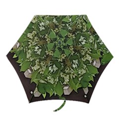 Garden Of The Phoenix  Mini Folding Umbrellas