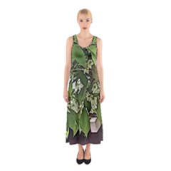 Garden Of The Phoenix  Sleeveless Maxi Dress by Riverwoman