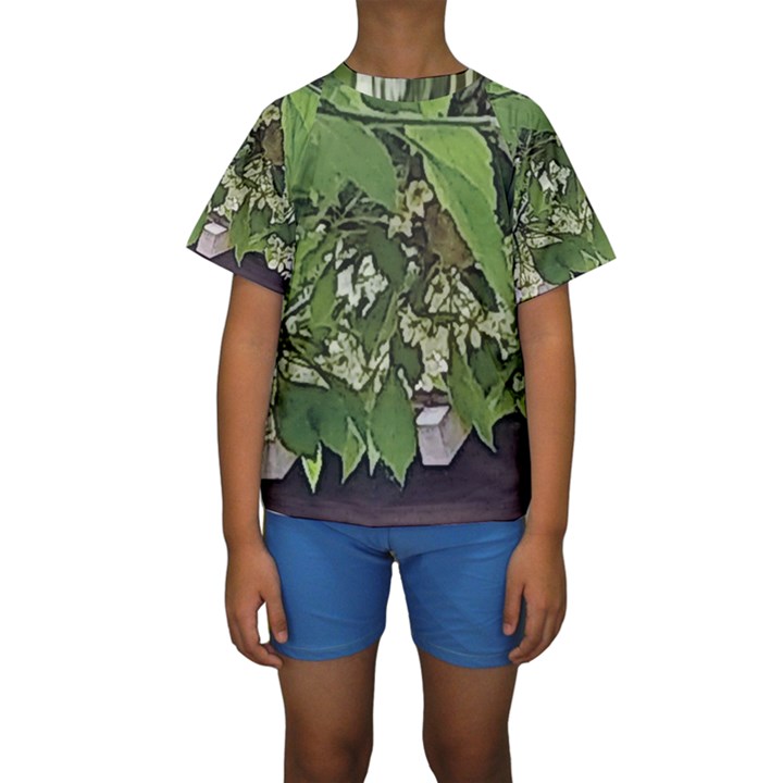 Garden of the Phoenix  Kids  Short Sleeve Swimwear