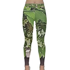 Garden Of The Phoenix  Classic Yoga Leggings by Riverwoman