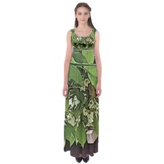 Garden Of The Phoenix  Empire Waist Maxi Dress by Riverwoman