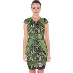 Garden Of The Phoenix  Capsleeve Drawstring Dress  by Riverwoman