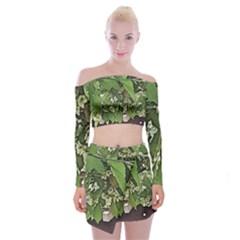 Garden Of The Phoenix  Off Shoulder Top With Mini Skirt Set by Riverwoman