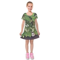 Garden Of The Phoenix  Kids  Short Sleeve Velvet Dress by Riverwoman