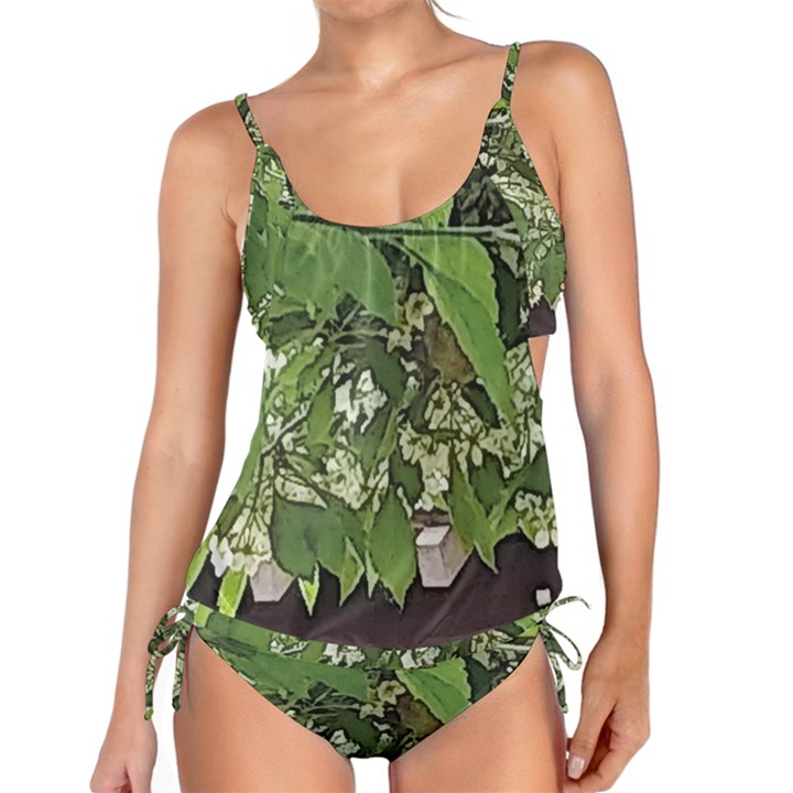 Garden of the Phoenix  Tankini Set