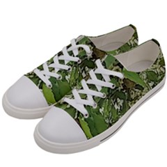 Garden Of The Phoenix  Women s Low Top Canvas Sneakers by Riverwoman