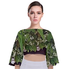 Garden Of The Phoenix  Tie Back Butterfly Sleeve Chiffon Top