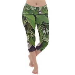 Garden Of The Phoenix  Lightweight Velour Capri Yoga Leggings by Riverwoman