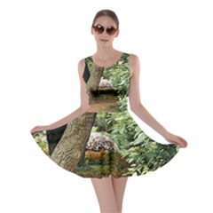 Garden Of The Phoenix  Skater Dress by Riverwoman