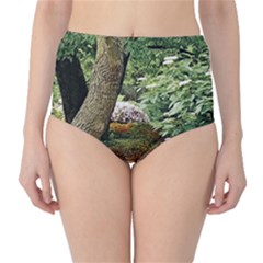 Garden Of The Phoenix  Classic High-waist Bikini Bottoms by Riverwoman