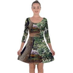 Garden Of The Phoenix  Quarter Sleeve Skater Dress