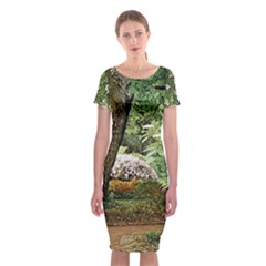 Garden Of The Phoenix  Classic Short Sleeve Midi Dress by Riverwoman