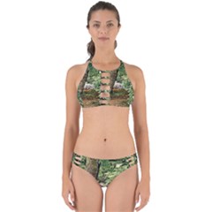 Garden Of The Phoenix  Perfectly Cut Out Bikini Set by Riverwoman