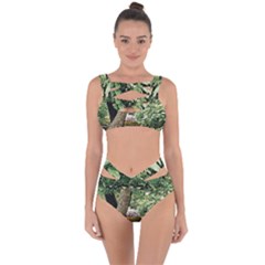 Garden Of The Phoenix  Bandaged Up Bikini Set  by Riverwoman