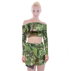 Garden Of The Phoenix  Off Shoulder Top With Mini Skirt Set by Riverwoman