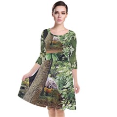 Garden Of The Phoenix  Quarter Sleeve Waist Band Dress