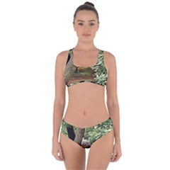 Garden Of The Phoenix  Criss Cross Bikini Set by Riverwoman