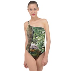 Garden Of The Phoenix  Classic One Shoulder Swimsuit by Riverwoman