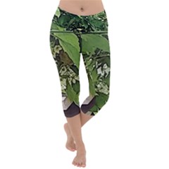 Garden Of The Phoenix  Lightweight Velour Capri Yoga Leggings by Riverwoman