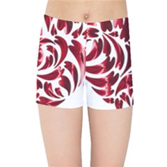 Abstract Geometric Art Fractal Kids  Sports Shorts by Pakrebo