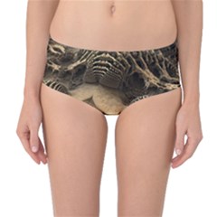 Fractal Bones Cave Fossil Render Mid-waist Bikini Bottoms by Pakrebo