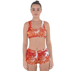 Flora Flowers Background Leaf Racerback Boyleg Bikini Set by Pakrebo