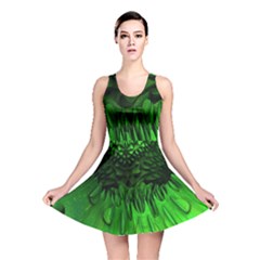 Fractal Rendering Background Green Reversible Skater Dress by Pakrebo