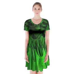 Fractal Rendering Background Green Short Sleeve V-neck Flare Dress by Pakrebo