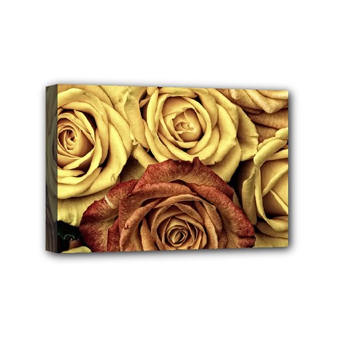 Roses Flowers Love Red Plant Mini Canvas 6  X 4  (stretched) by Pakrebo