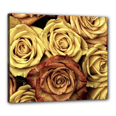 Roses Flowers Love Red Plant Canvas 24  X 20  (stretched) by Pakrebo