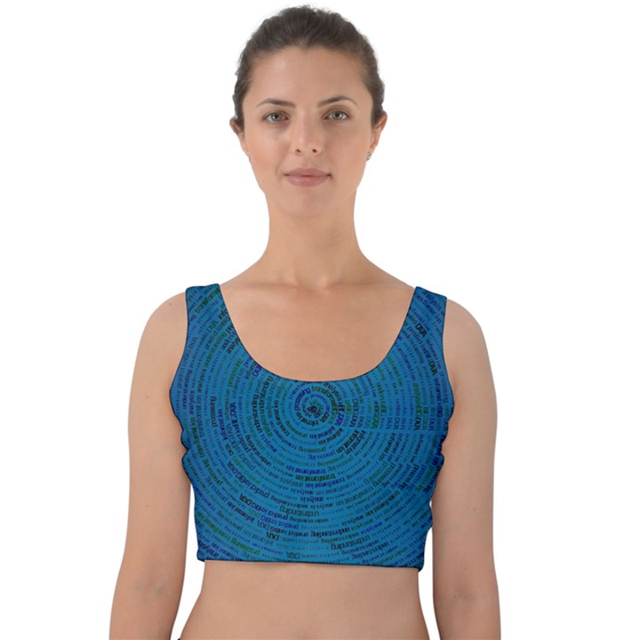 Big Data Information Data Velvet Crop Top