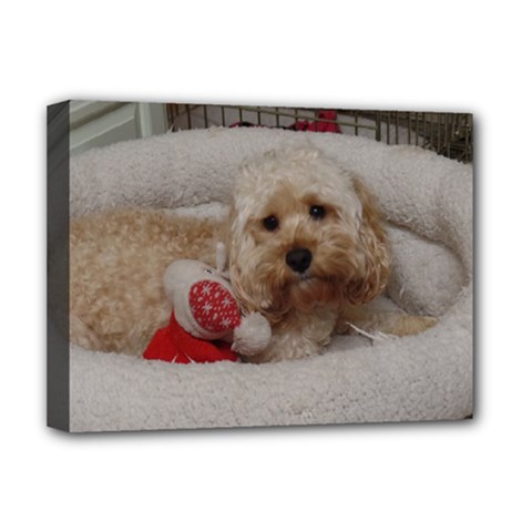 Cockapoo In Dog s Bed Deluxe Canvas 16  X 12  (stretched)  by pauchesstore