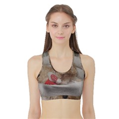 Cockapoo In Dog s Bed Sports Bra With Border by pauchesstore