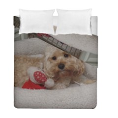 Cockapoo In Dog s Bed Duvet Cover Double Side (full/ Double Size)